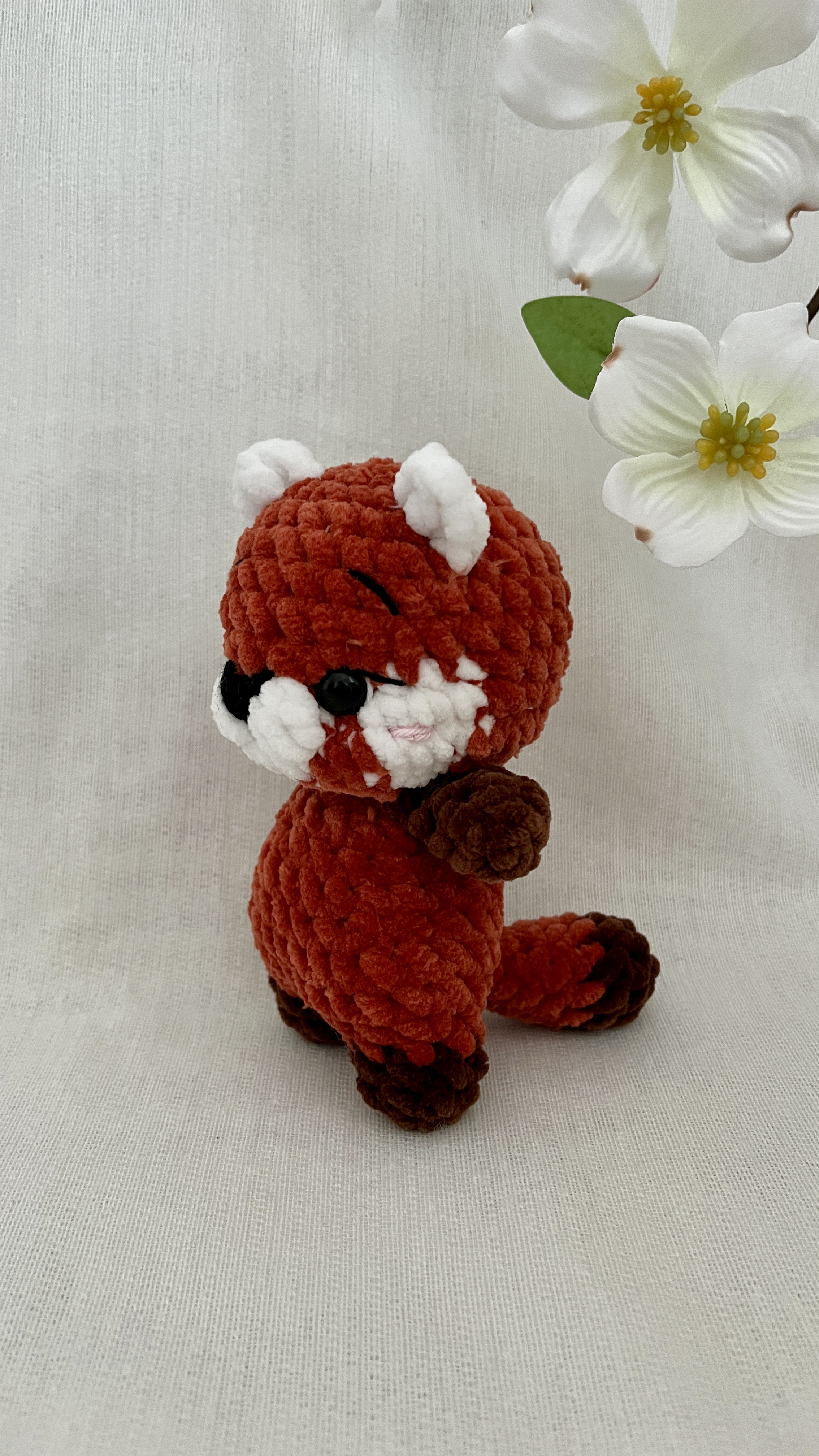 Mini vöröspanda részlet